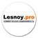 Lesnoy.pro